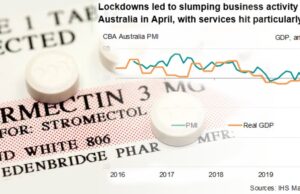 IVERMECTIN: Risk versus Reward (Panacea for Covid-19)