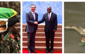 The Desperados, Part 3: The Murdering of Magufuli and Bradstreet