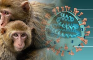 Human Spike Protein Factories — Another COVID Short Story