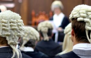 14 Reasons Why Aussie Lawyers Aren’t Coming to the Aid of Serene Teffaha (Satire)