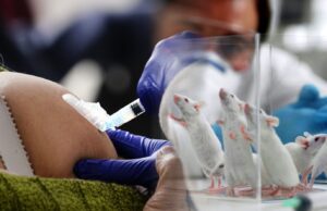 URGENT — Doctors Reconvene to Discuss Transmission Issues to Those Not Wanting the Jabs