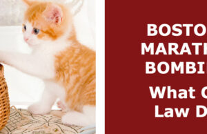 Anti-Vax Did Not Start Yesterday — Ask Charles Higgins (L) photo from petside.com (R) cover of Mary Maxwell’s new book