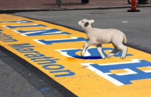 Mary Had a Little Lamb (Satire on the Boston Marathon Bombing)