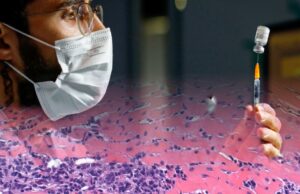 Natural Immunity, Pfizer Ingredients, and a Mainstream Reporter