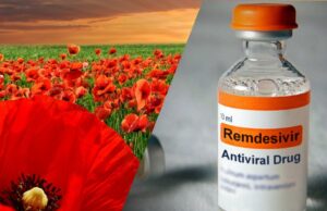 Notes on Poppy Fields, Big Pharma, Military-Industrial Complex and Immunity