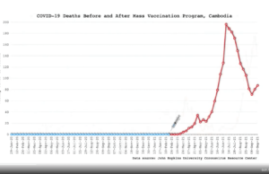 James Perlof — Fighting the COVID PSYOP with Ultra Short Video Clips