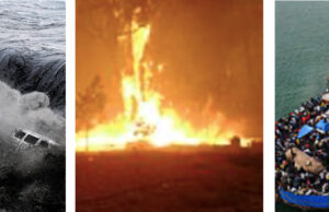 Eusociality, Part 12: Deliberate Destruction of the Habitat