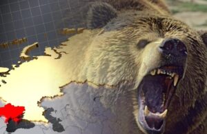 America Waving The Big Stick At The Bear