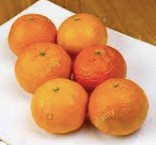 oranges