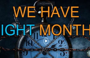 Dr Vernon Coleman — “We Have Eight Months”