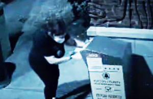 The 2000 Mules Story Has Changed the Picture. What To Do Now? A lady inserts some ballots into the ballot box