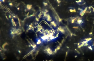 Shocking Facts — Nanotech And Toxic Ingredients In Covid-19 Vials