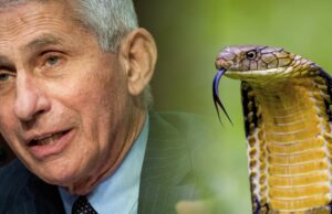 COVENOM-19 — Dr Bryan Artis D.C. Exposes the Venom Story and The Anti-venom (Jab) Protocols