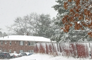 Is This Snow the Big One? Ask Gunther Russbacher and Dr Richard Day