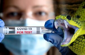 Dr. Bryan Ardis — Cov-19, Snake Venoms, Stable mRNA, PCR Tests and Poisoning People