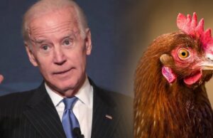 Notes on Biden, Balloons, Eggs, Ukraine and Influence Peddling