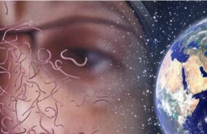 Covid and A Parasitic World View