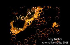 Abnormalities, Clotting and Parasites in the Blood – Kelly Bacher