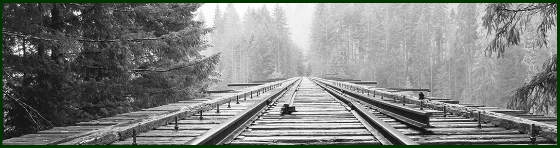 Photo: nswbar.asn.au