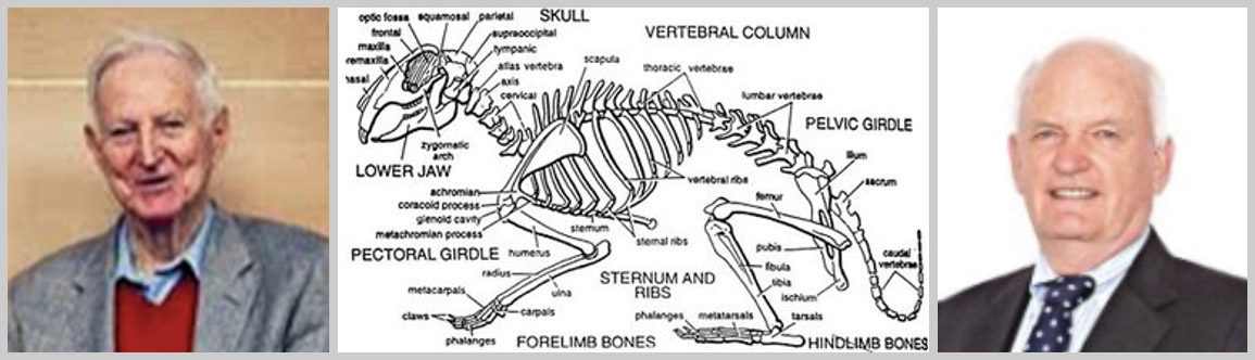 (L) Dr Wm McBride, Photo: Telegraph.co.uk (C) skeleton of a rabbit, Photo: disabledrabbits.com (R) Dr Doulas Keeping of Queensland