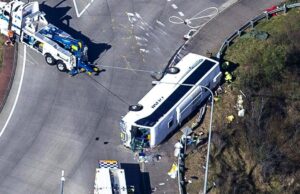 The Irony — Excess Deaths v Horror Bus Crash