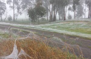Climate Surprise: Frost Season Growing Longer Across Australia