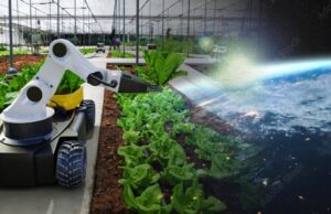 The War Against Humanity