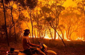 Defund and Depopulate