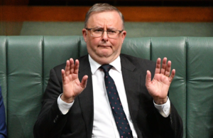 Albanese rejects Royal Commission into Covid, instead promises to set up “Royal Omission”