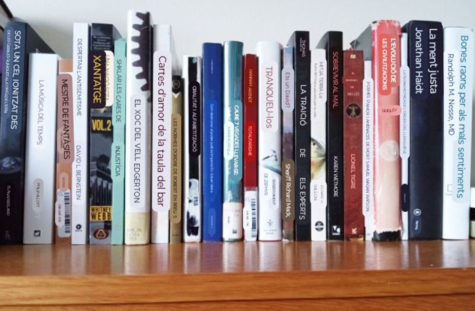 24 books on shelf with titles translated