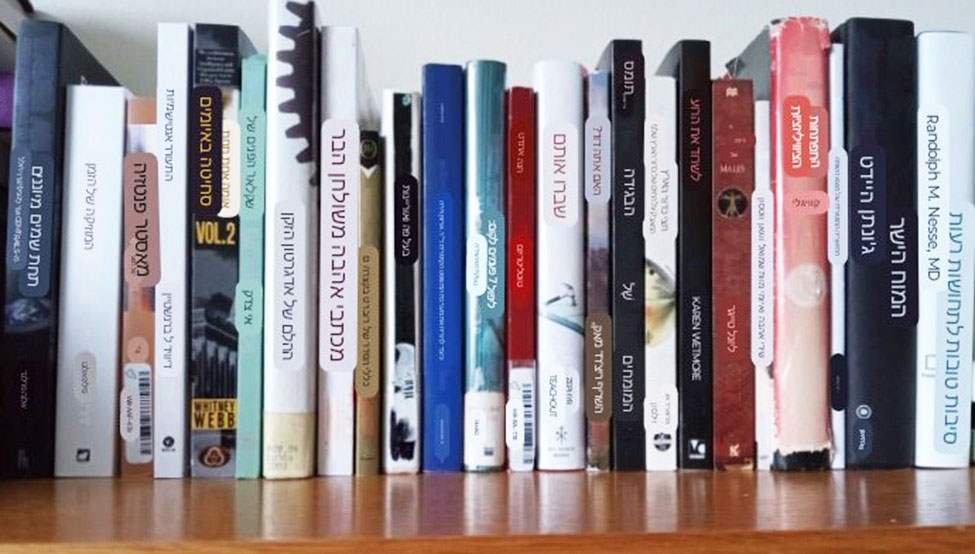 24 books on shelf with titles translated to Hebrew