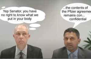 Pfizer Execs Are Masters in Deflection and Drivel