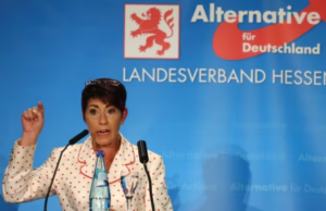 Compliance Test Balloon