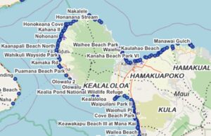 Take the Maui Problem to Court, Fast, by Seeking an Injunction against the Coverup map is from Maui County website
