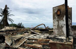 Notes on Taiwan, Rothschilds, the US, and Maui