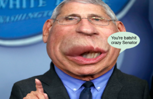 The Champions of Covid — Liars and Swindlers