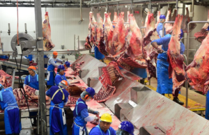 Shooting Fish in a Barrel