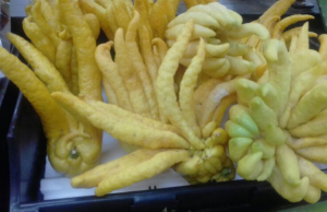 From Sickness to Death