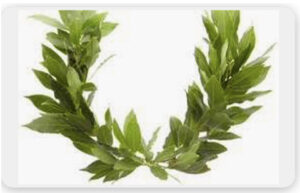 Laurels