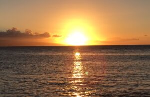 Everybody Will Know — Justice Was Served in Brisbane