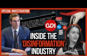 The Disinformation Industry