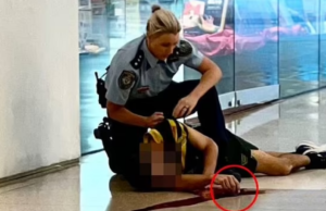 Part 5: G5 Information Dump