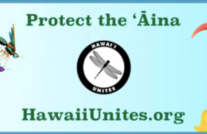 Mozzies — Get Outta Here! (Maxwell’s Testimony in Honolulu) Image with text: 'Protect the Aina. HawaiiUnites.org"