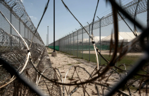 Treason, Camps, WEF and Pascal Najadi