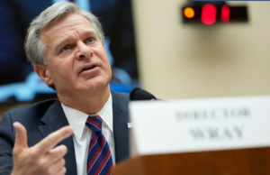 Wray Morphs Into a Screeching Parrot