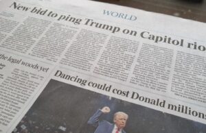 You’re Not a Horse, You’re Not a Bee