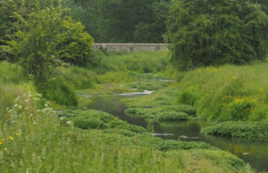 Climate Panic Attack