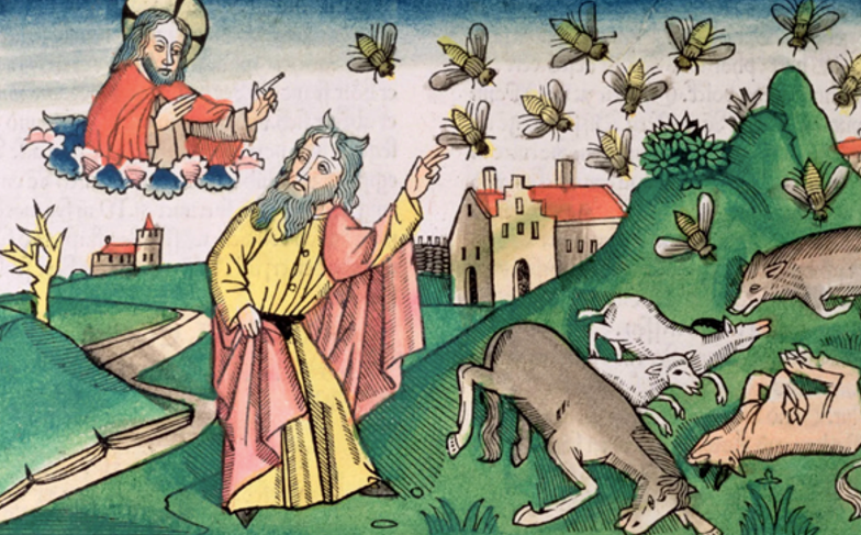 The plagues, Illustration