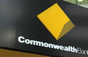 Who’s Who and What’s What