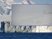 War on America, War on Humanity